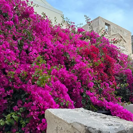 Πανσιόν Castellorizon 4*